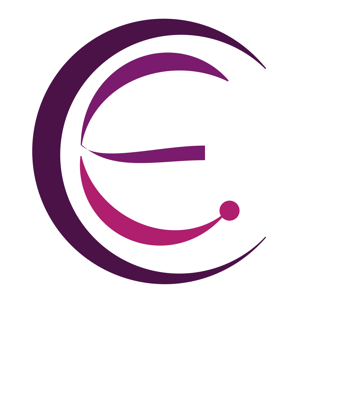 Chelure Enterprises logo